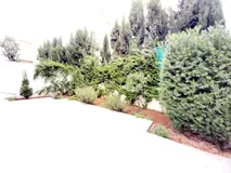 Image thumbnail