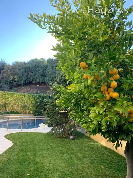 Image slider - 61536 - 3