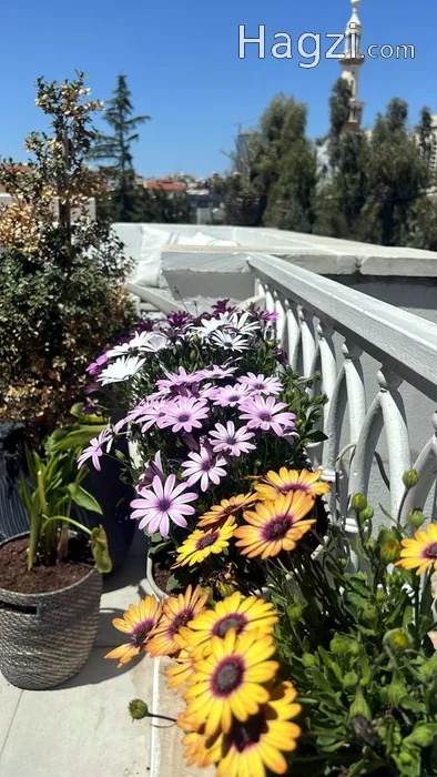 Image slider - 60270 - 5