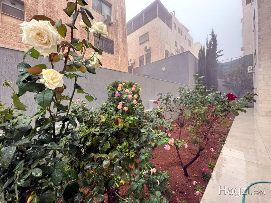 Image slider - 59982 - 9