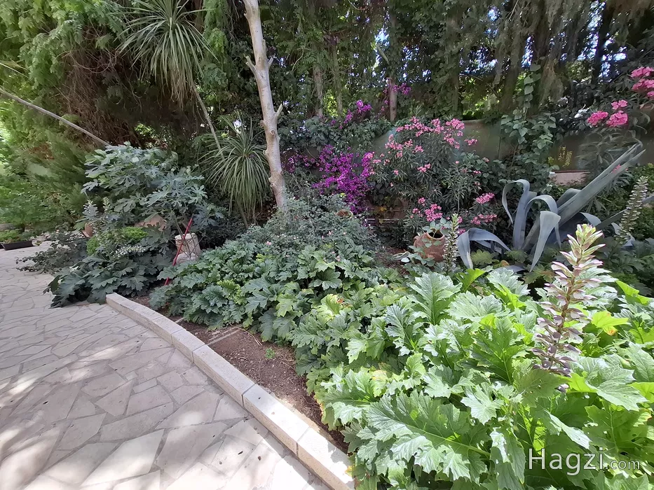 Image slider - 57338 - 7