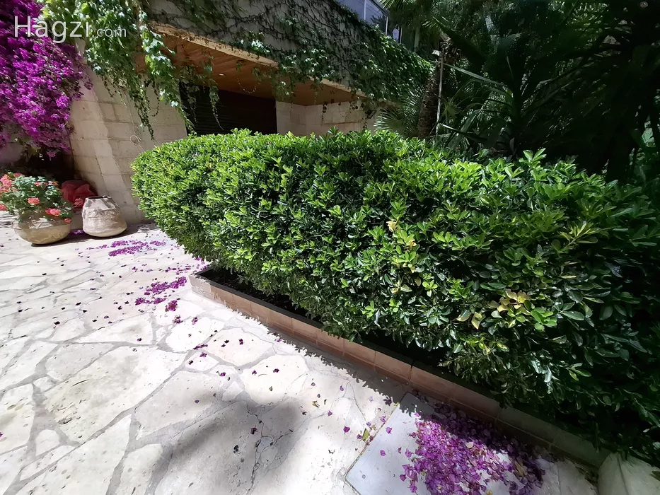 Image slider - 57338 - 10