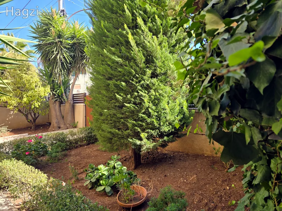 Image slider - 60550 - 2