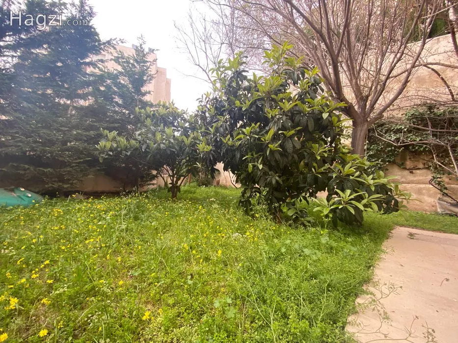 Image slider - 61450 - 5